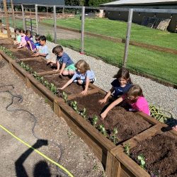 Kids planting seeds in raised beds